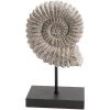 Amadeus Statuette Fossile de Coquillage sur Socle -Amadeus Soldes Magasin 21317536 500 A